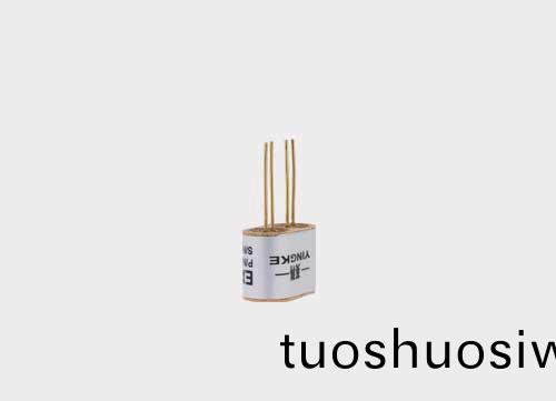 催化燃(ran)燒傳(chuan)感器