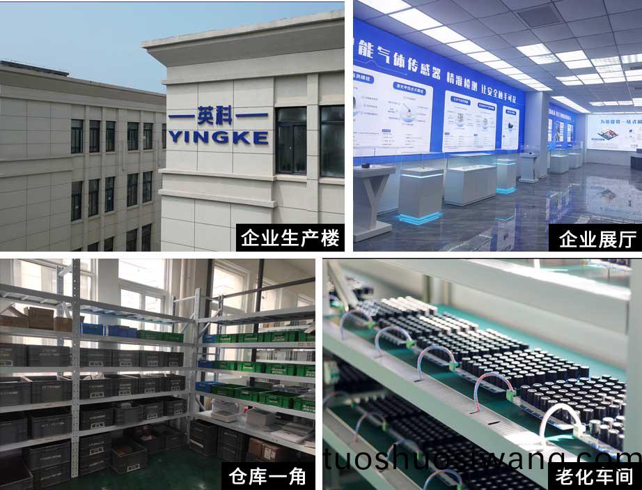 公(gong)司槩(gai)述